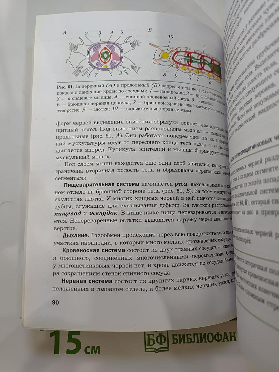 Биология 8 класс