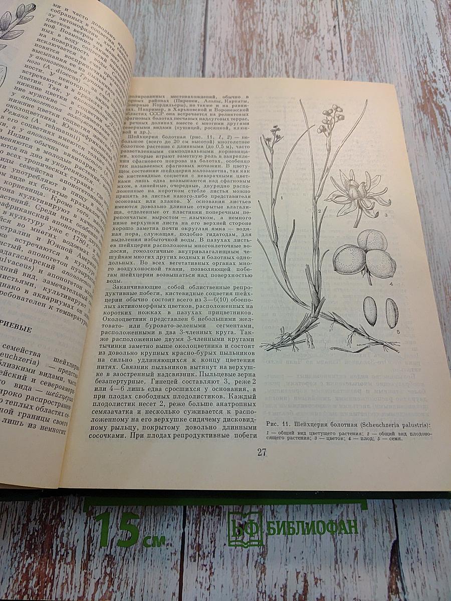 Жизнь растений в шести томах. Том 6: Цветковые растения
