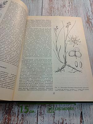 Жизнь растений в шести томах. Том 6: Цветковые растения