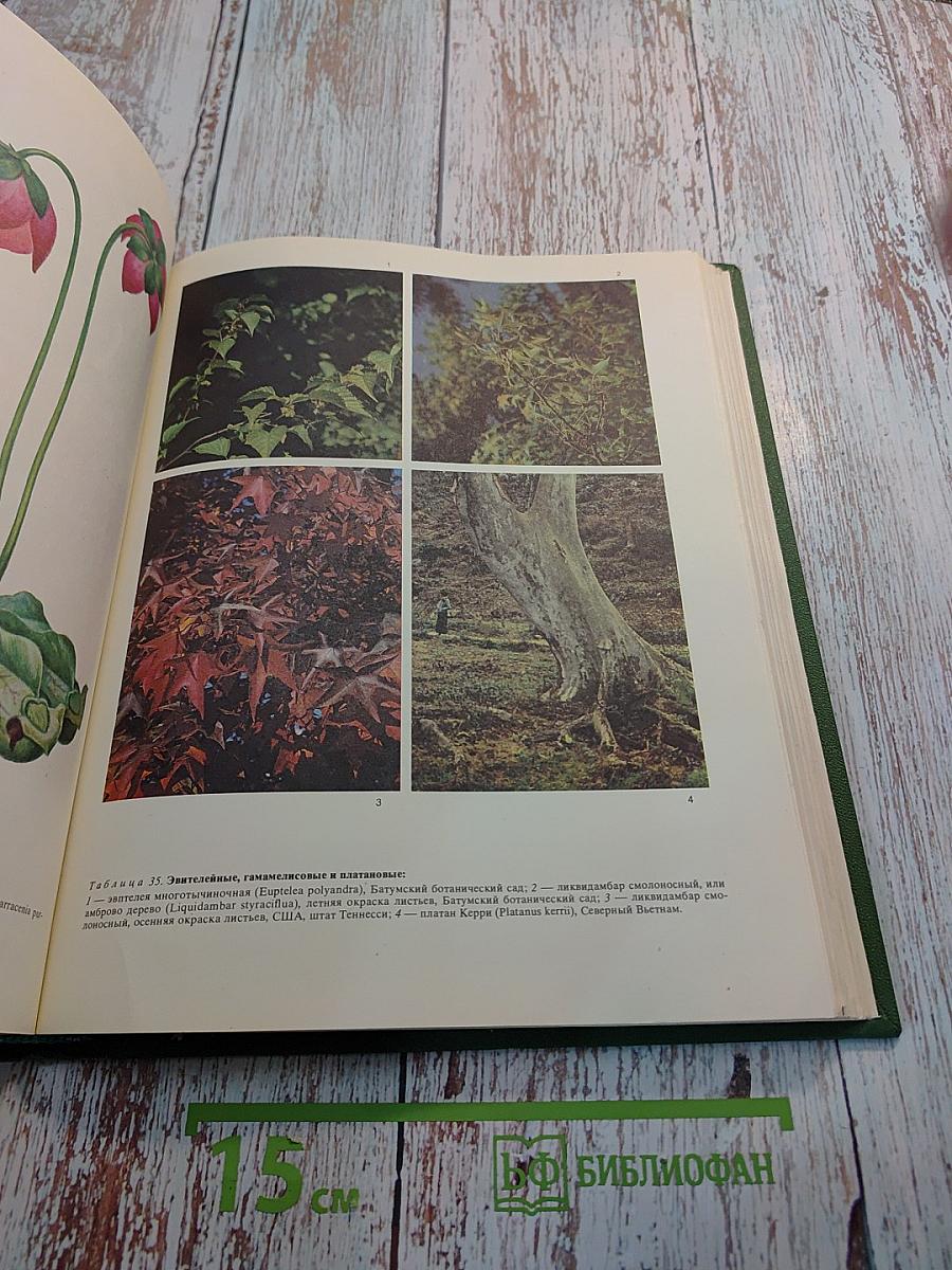 Жизнь растений в шести томах. Том пятый. Часть первая. Цветковые растения