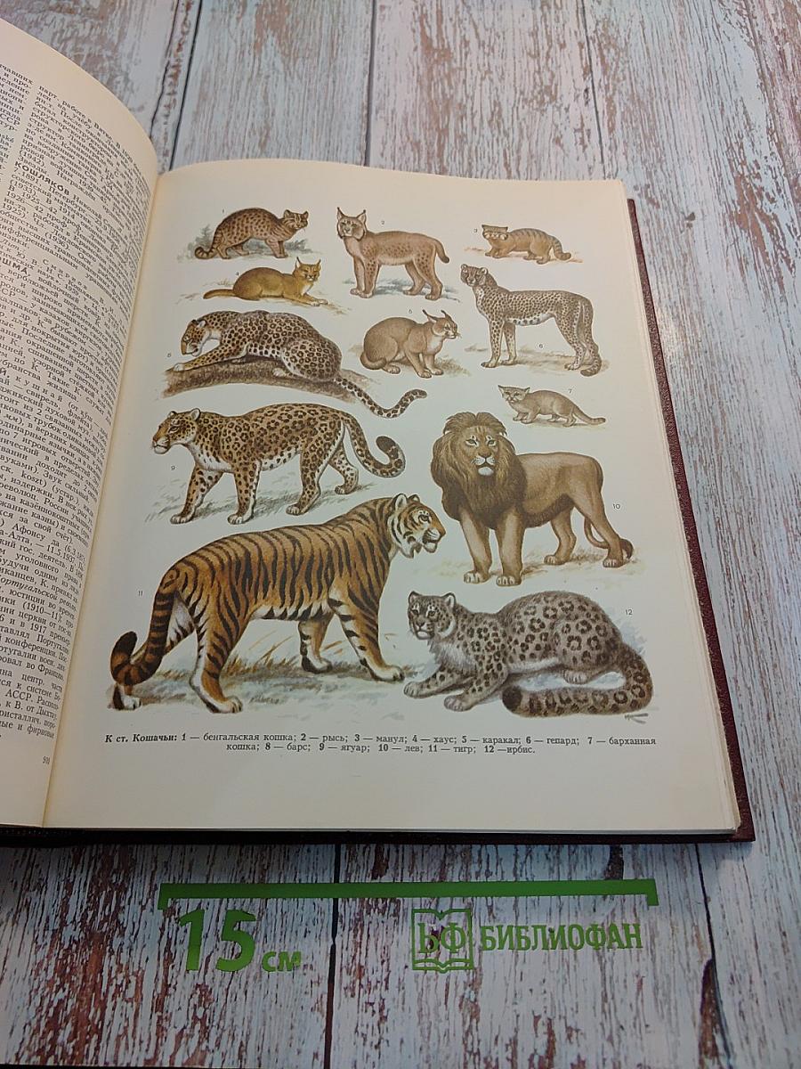 Большая Советская Энциклопедия. Том 13: Конда-Кун