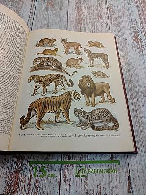 Большая Советская Энциклопедия. Том 13: Конда-Кун