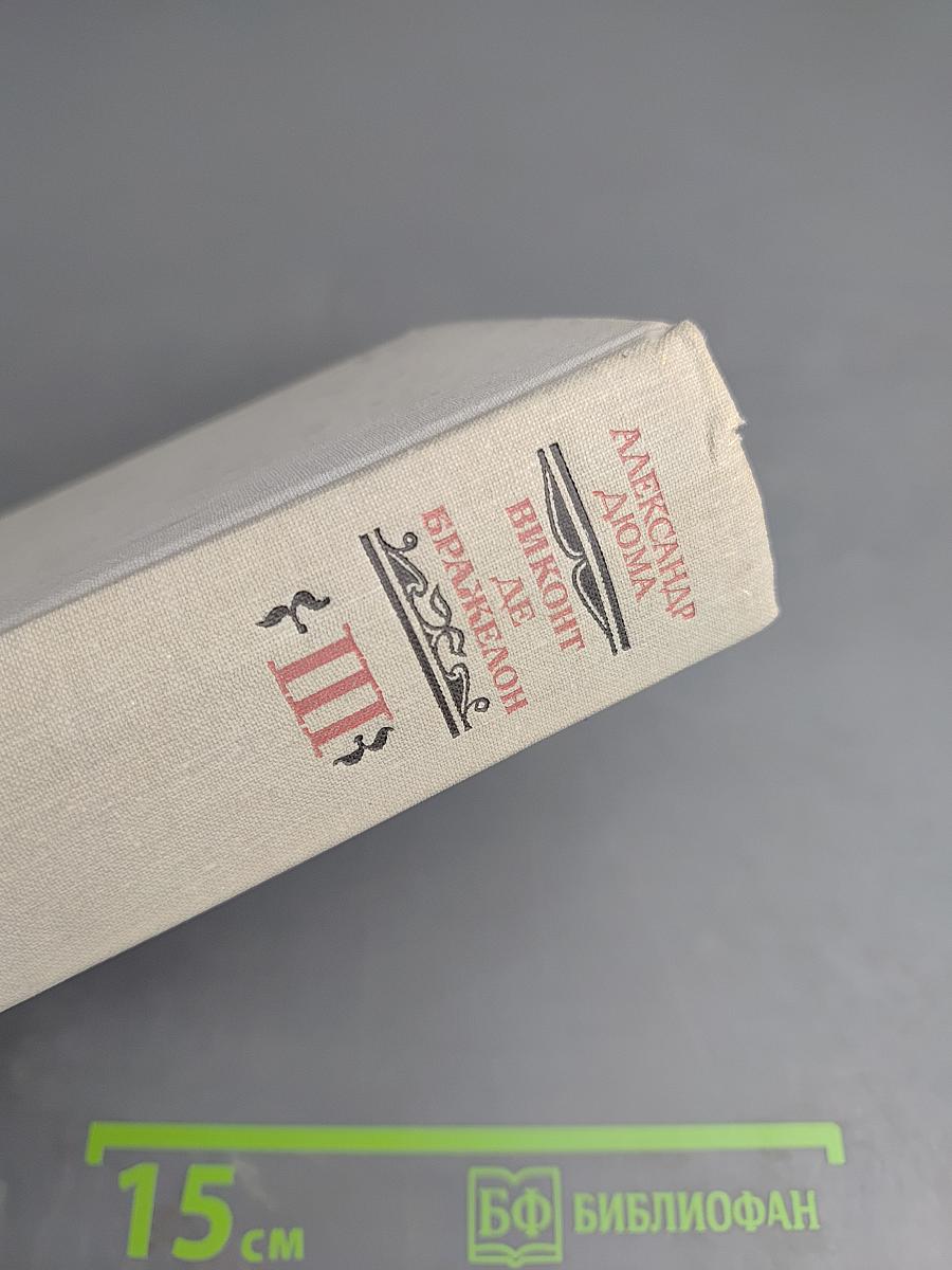 Виконт де Бражелон, или Десять лет спустя. Части 5, 6 (Том III)