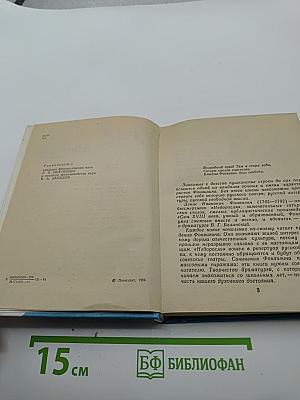 Фонвизин в Петербурге
