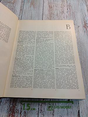 Большая Советская Энциклопедия. Том 5. ВЕШИН-ГАЗЛИ