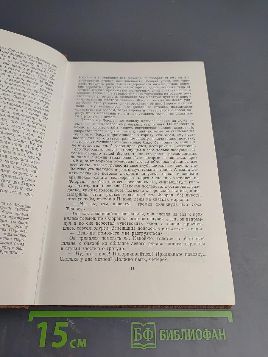 Эмиль Золя. Собрание сочинений. Том 2. Чрево Парижа