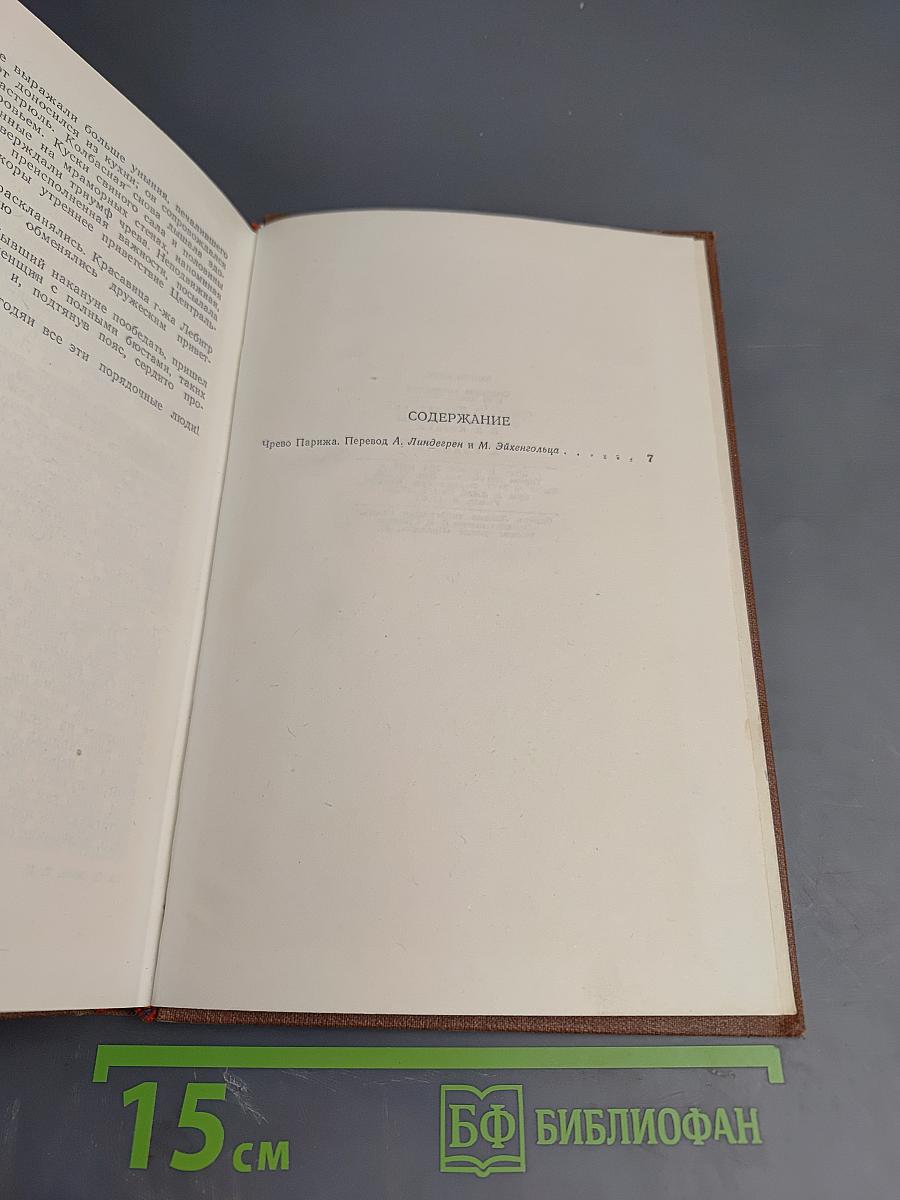 Эмиль Золя. Собрание сочинений. Том 2. Чрево Парижа