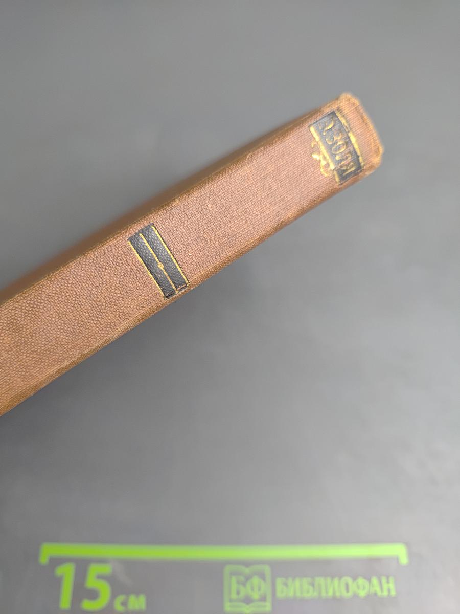 Эмиль Золя. Собрание сочинений. Том 2. Чрево Парижа