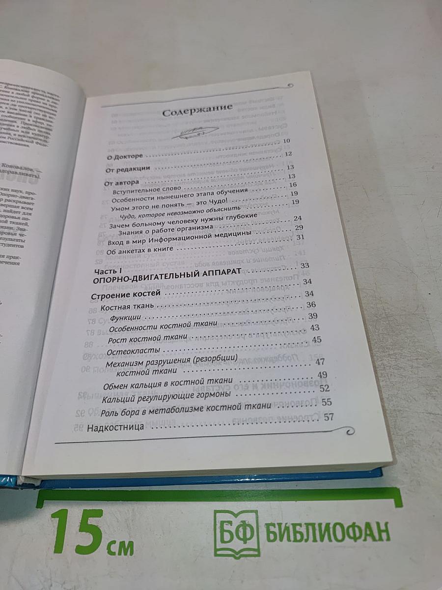 Опорно-двигательная система