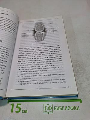 Опорно-двигательная система