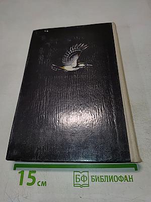 Рассказы и сказки