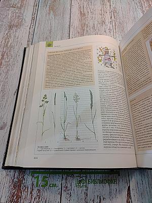 Энциклопедия для детей Том 2 Биология