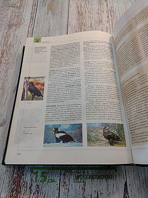 Энциклопедия для детей Том 2 Биология