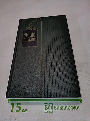 Собрание сочинений. Том тринадцатый. Торговый дом Домби и сын (Главы I-XXX)