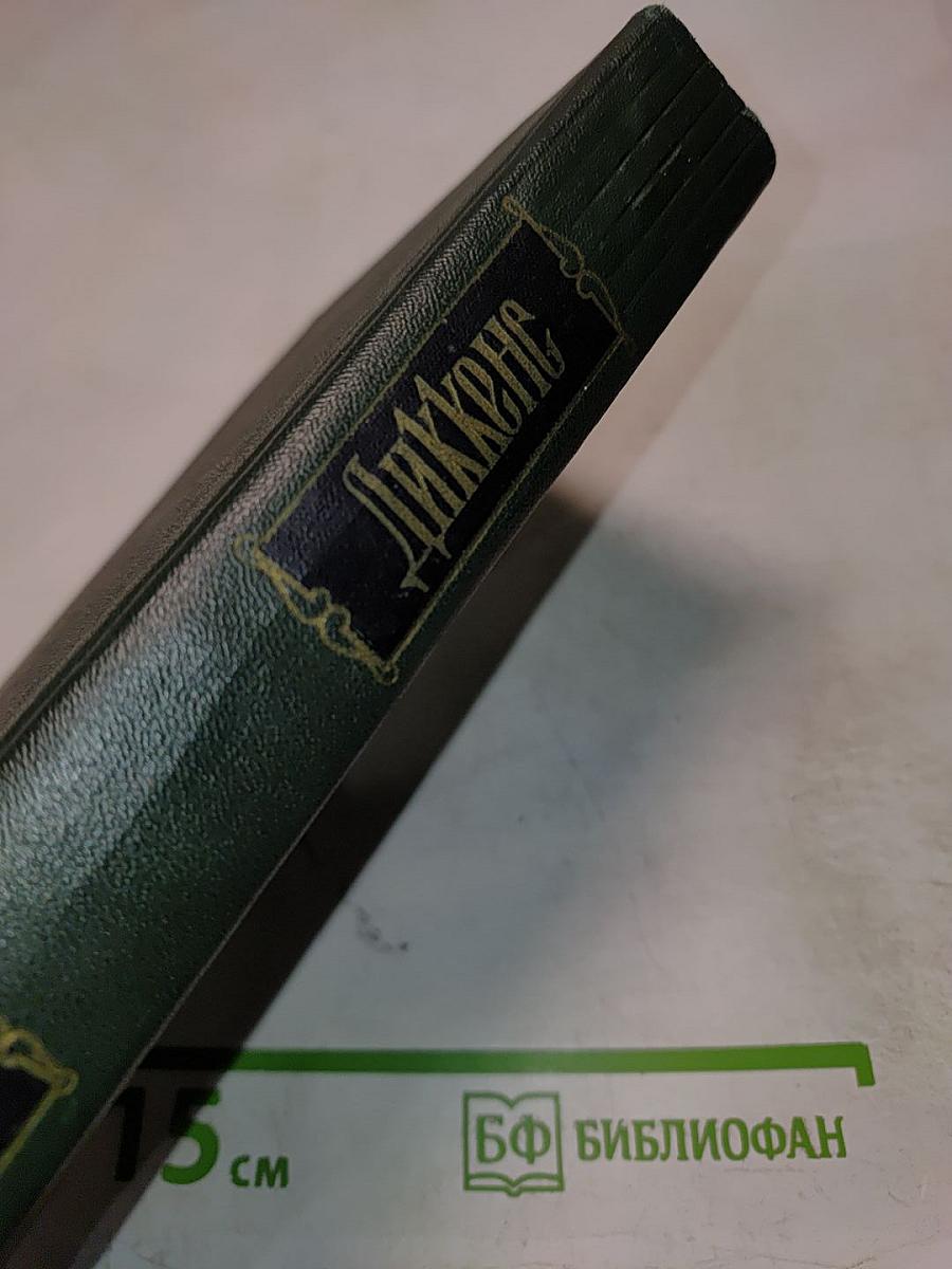 Собрание сочинений. Том тринадцатый. Торговый дом Домби и сын (Главы I-XXX)