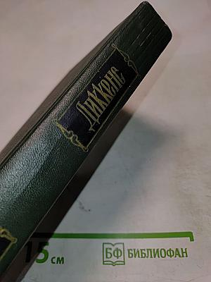 Собрание сочинений. Том тринадцатый. Торговый дом Домби и сын (Главы I-XXX)
