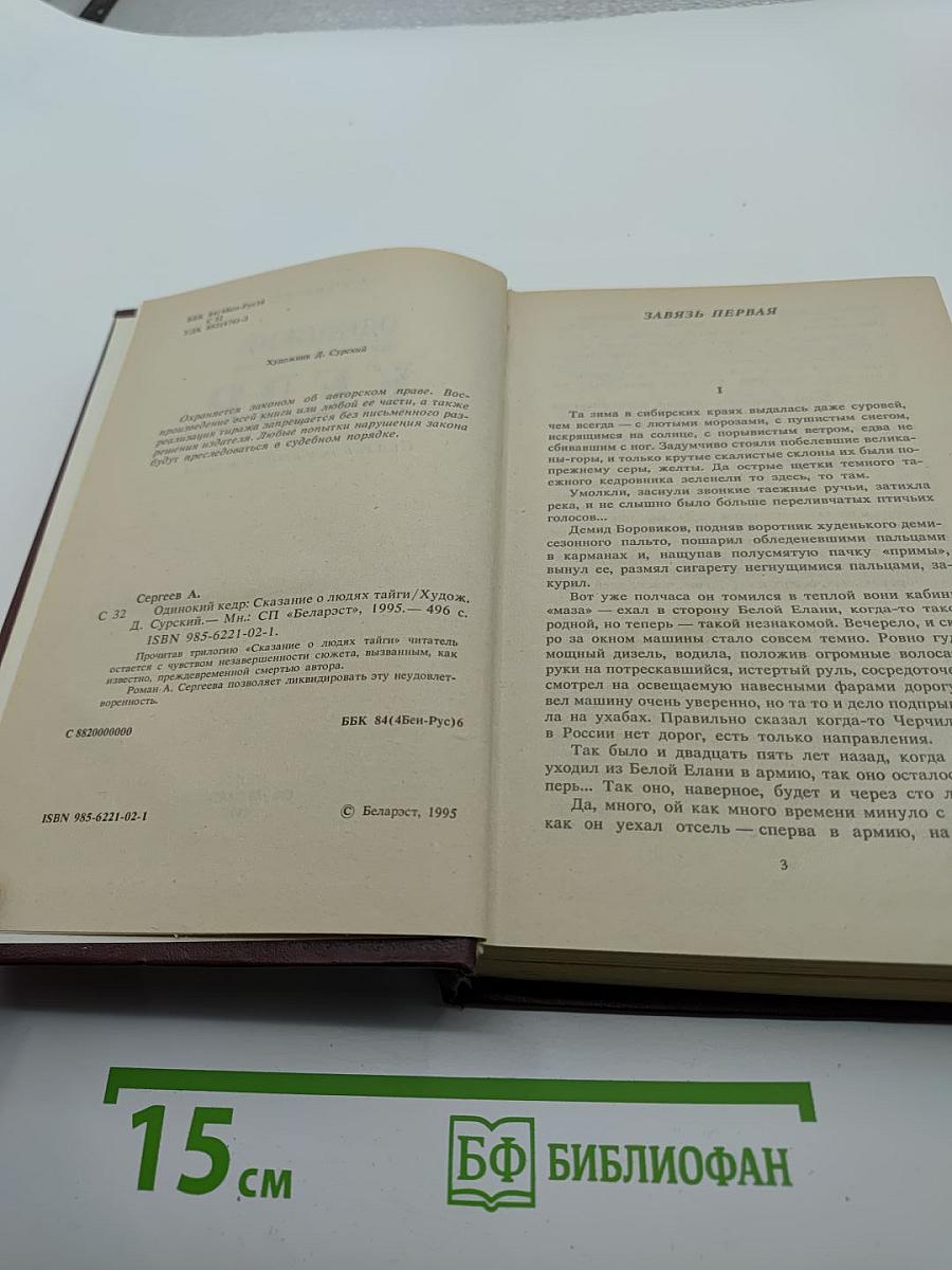 Одинокий кедр