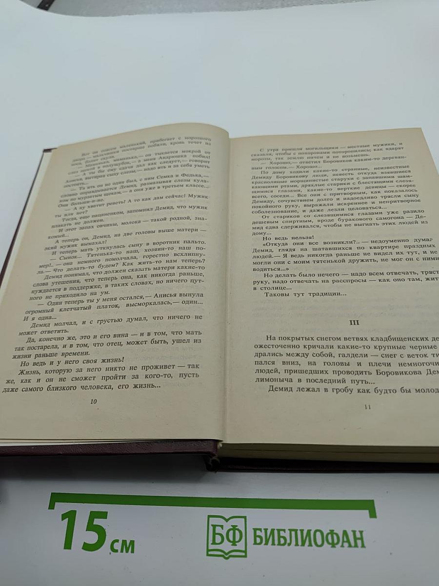 Одинокий кедр