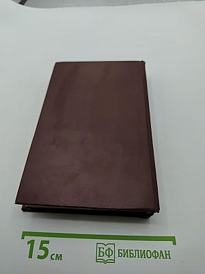 Одинокий кедр