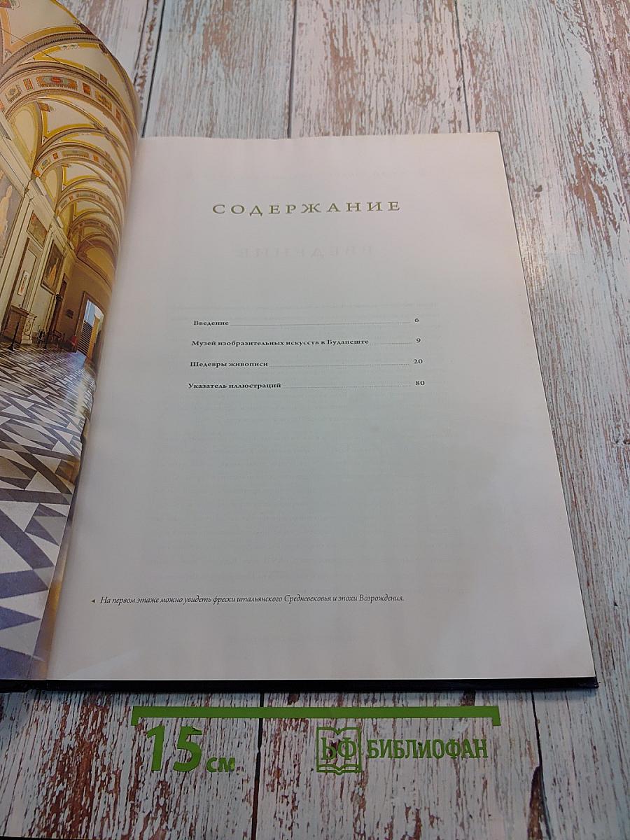 Музей изобразительных искусств (Будапешт)