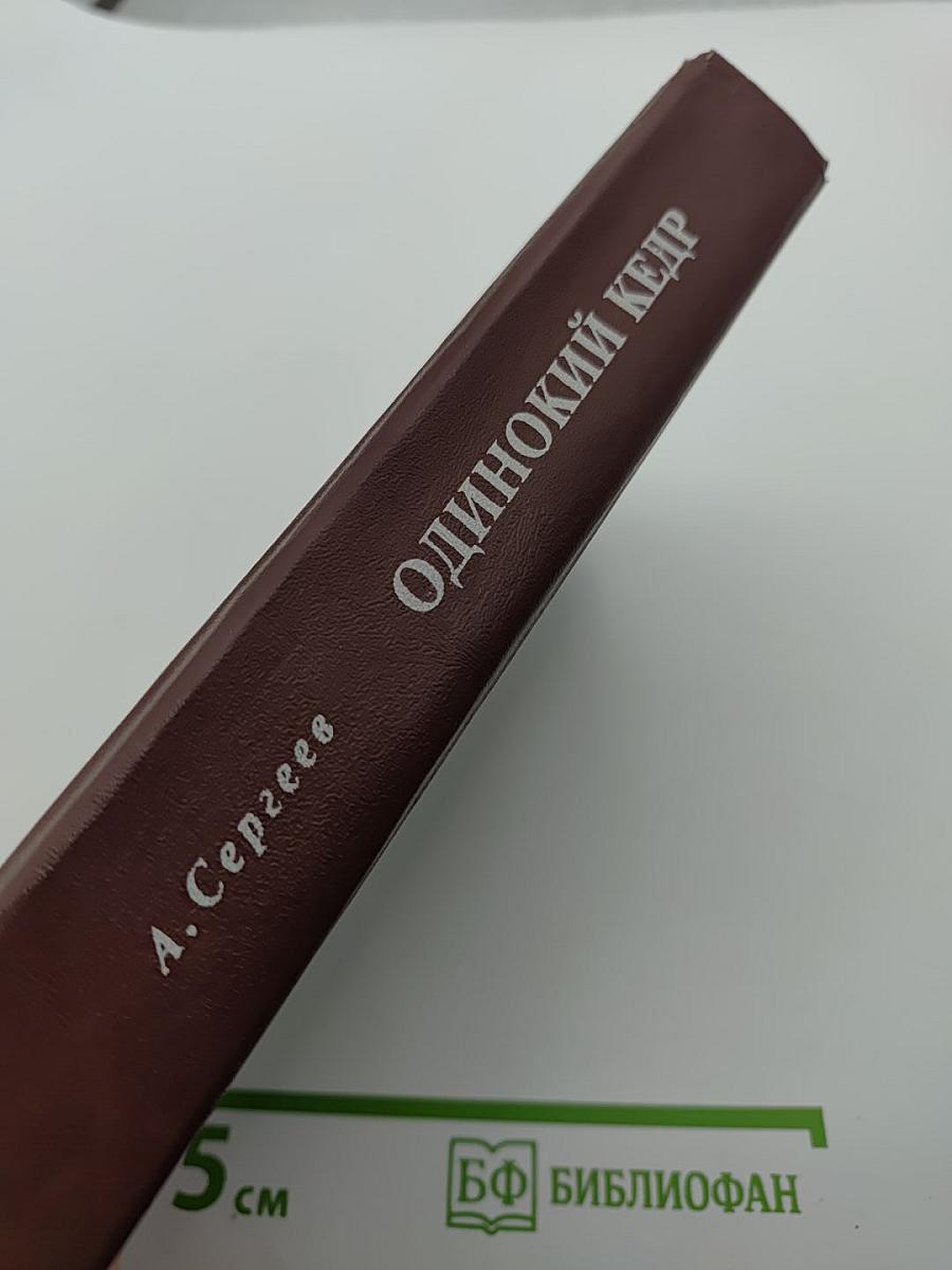 Одинокий кедр