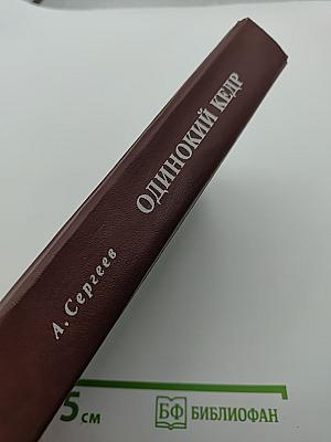Одинокий кедр
