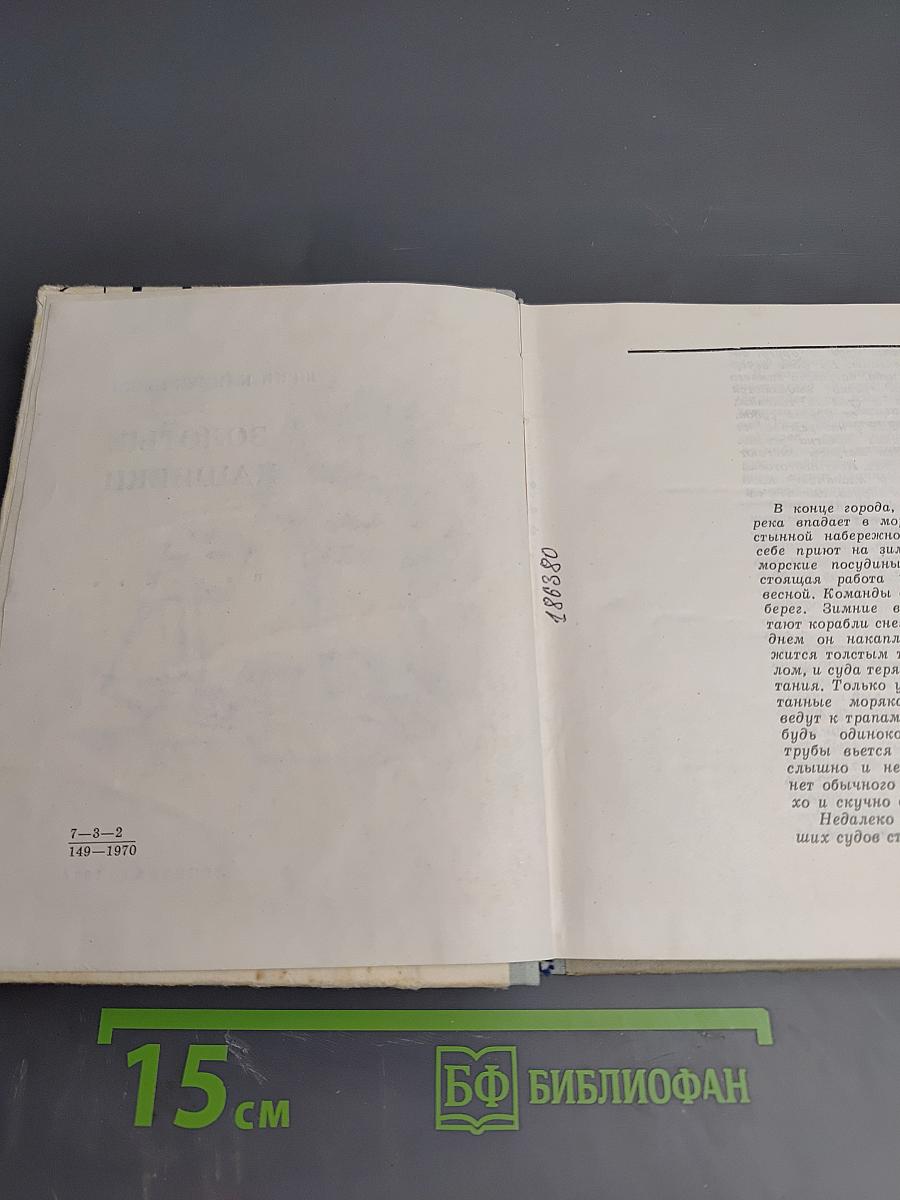 Золотые нашивки