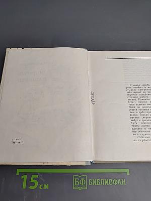 Золотые нашивки