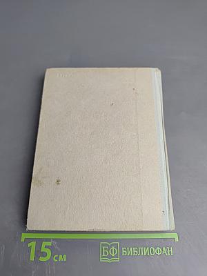 Золотые нашивки