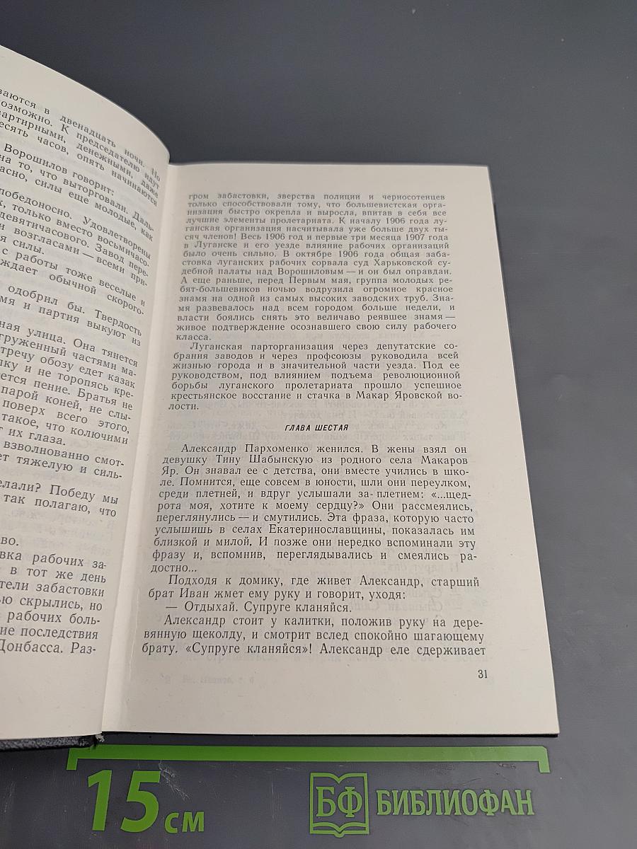 Пархоменко. Роман (Собрание сочинений в 8 томах. Том 6)
