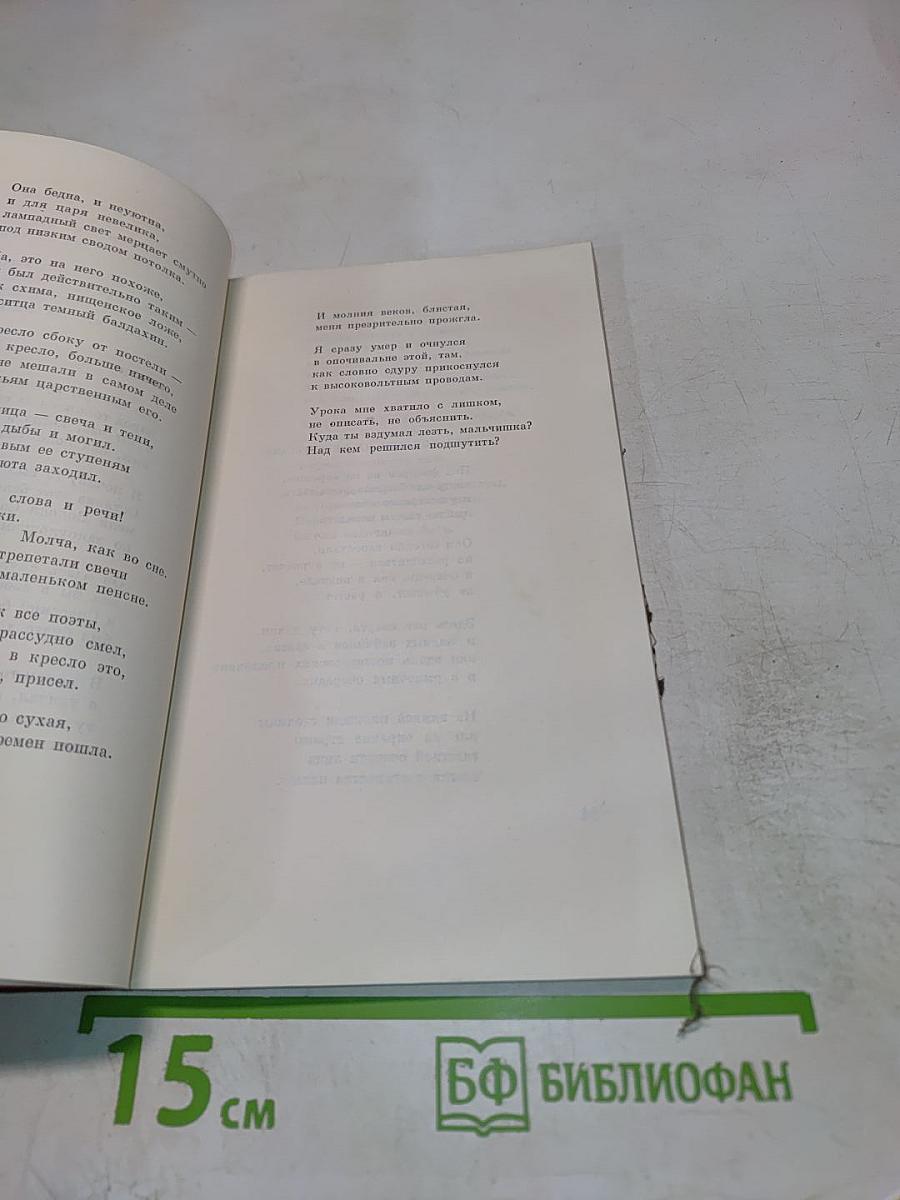 День России