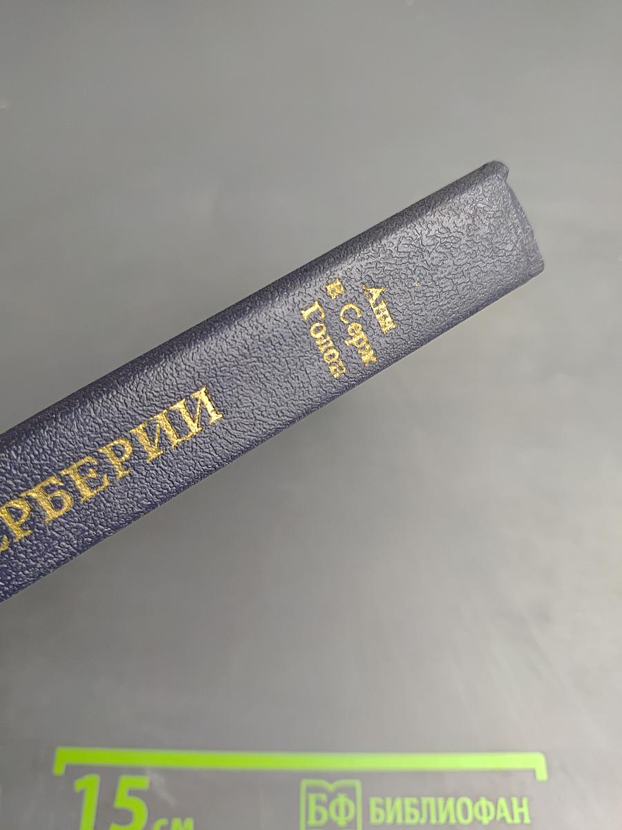 Анжелика в Берберии