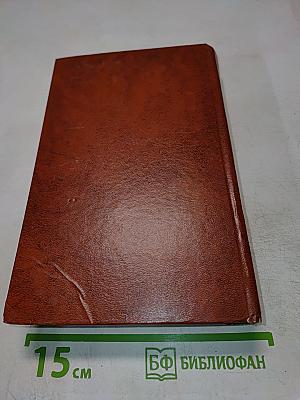 Жизнь Пушкина. Рассказанная им самим и его современниками. Том второй