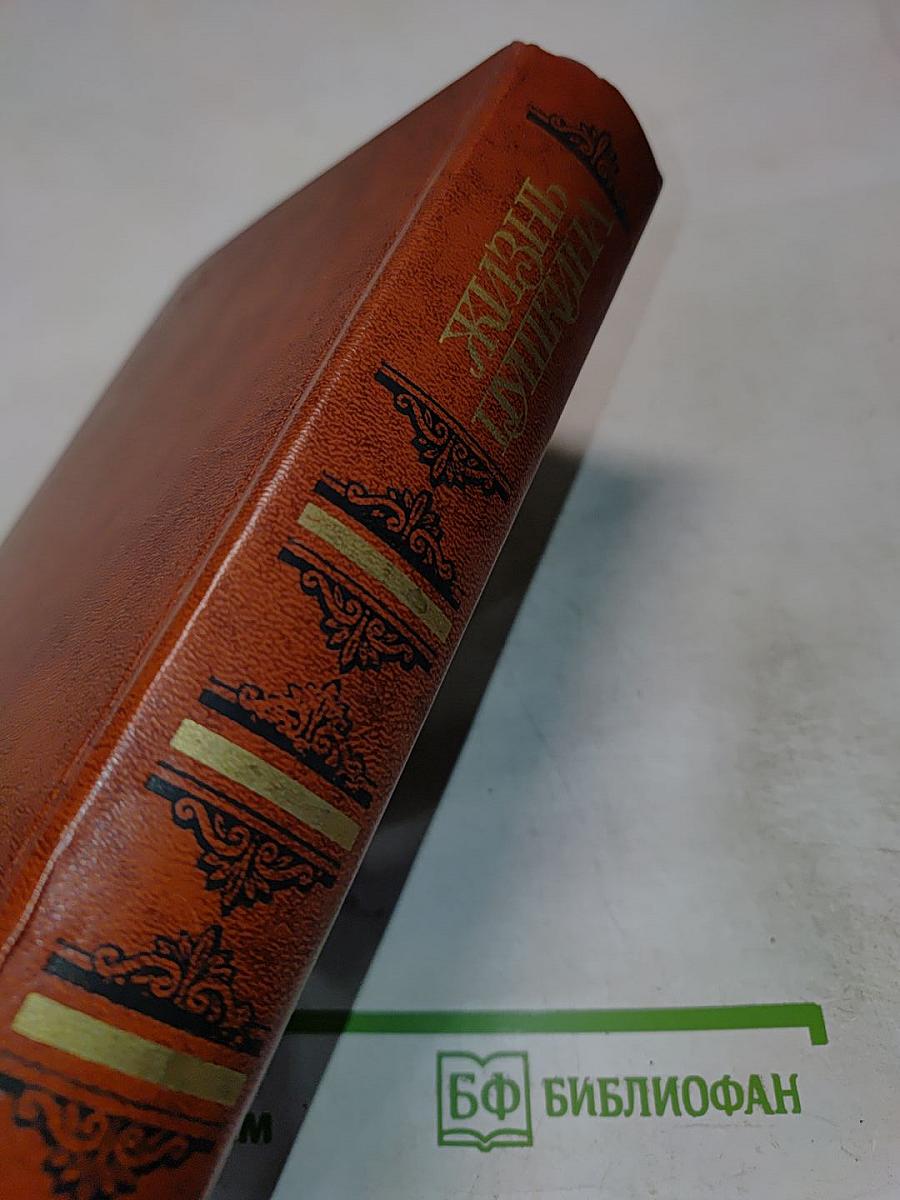 Жизнь Пушкина. Рассказанная им самим и его современниками. Том второй