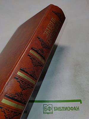 Жизнь Пушкина. Рассказанная им самим и его современниками. Том второй