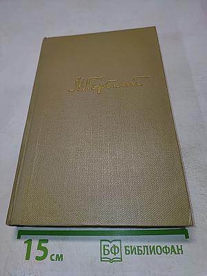 Собрание сочинений. Том 13. Жизнь Клима Самгина