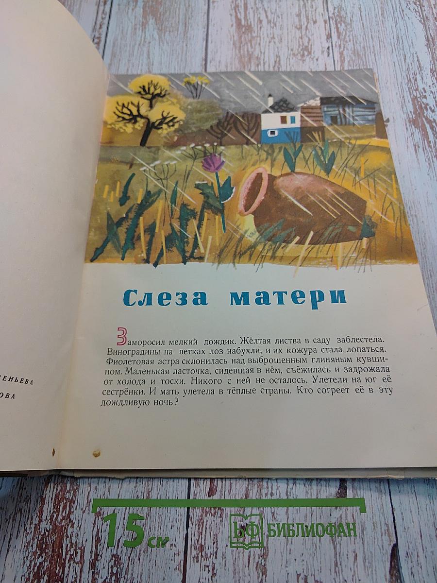 Слеза матери