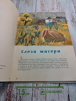 Слеза матери