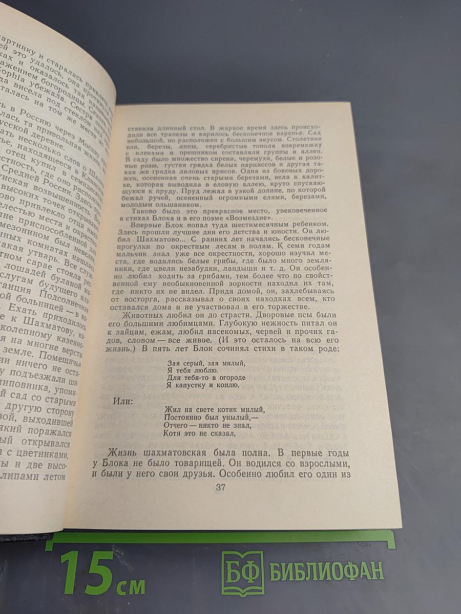 Воспоминания об Александре Блоке