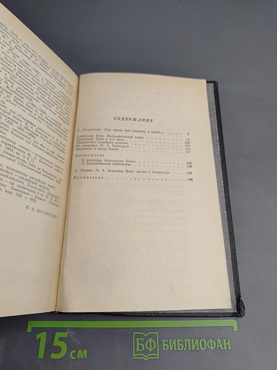Воспоминания об Александре Блоке