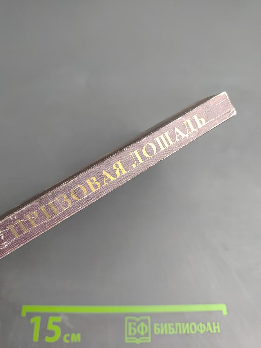 Призовая лошадь