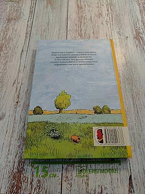 Медвежонок и Тигрёнок