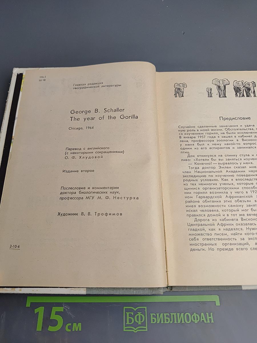 Год под знаком гориллы