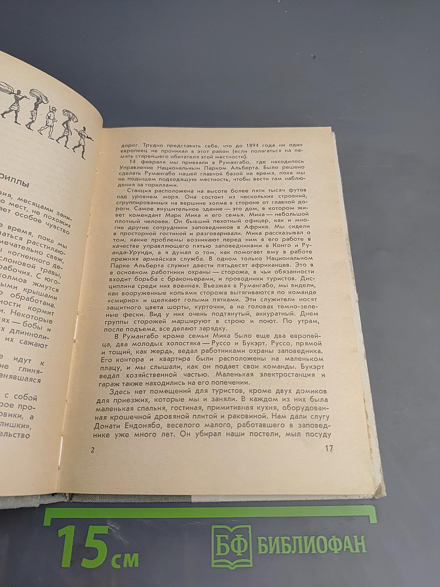 Год под знаком гориллы