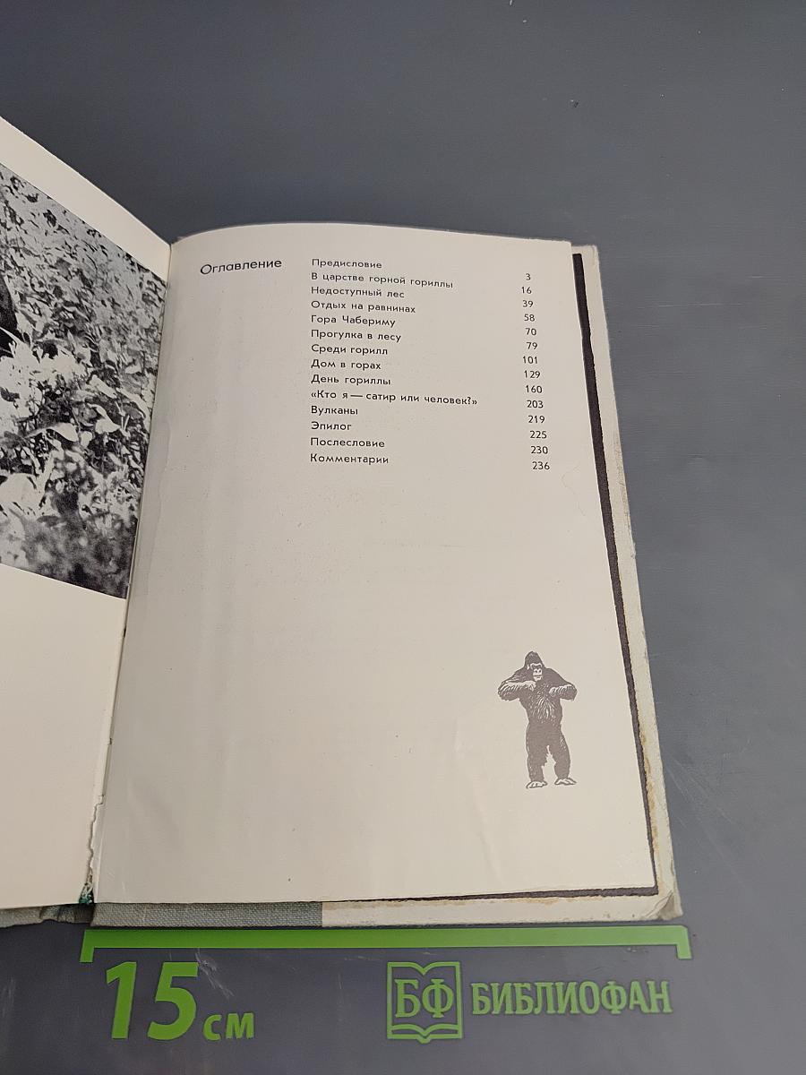 Год под знаком гориллы