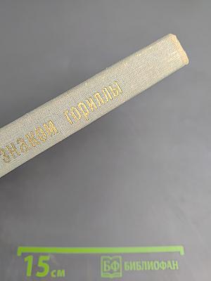 Год под знаком гориллы