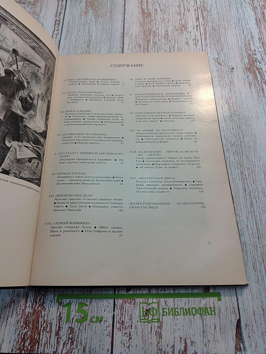 Революция машин. История промышленного переворота