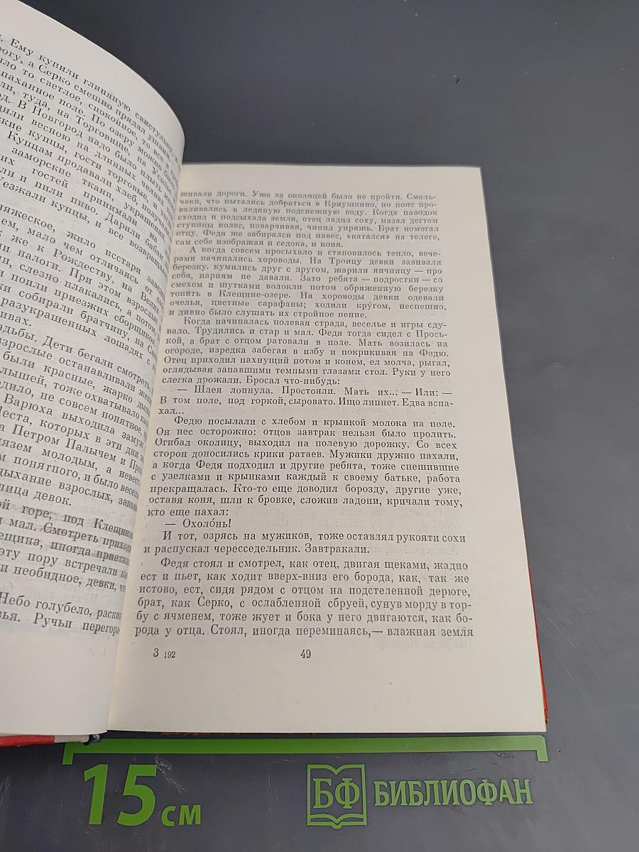 Младший сын