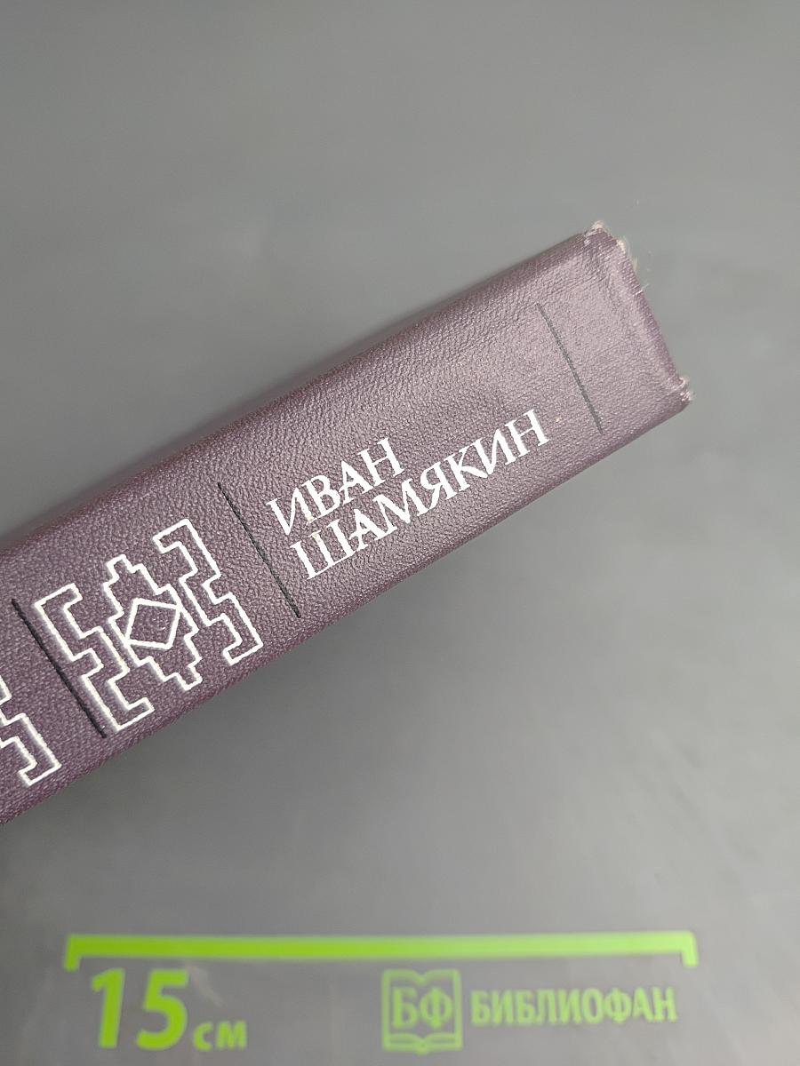 Собрание сочинений в шести томах. Том пятый: Торговка и поэт, Возьму твою боль