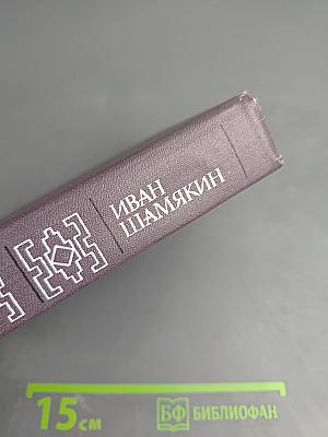 Собрание сочинений в шести томах. Том пятый: Торговка и поэт, Возьму твою боль